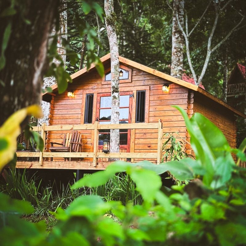 Cabana da Árvore com Jacuzzi