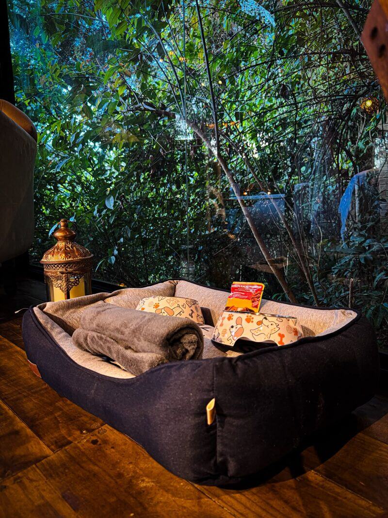 Cabana do Gnomo 18