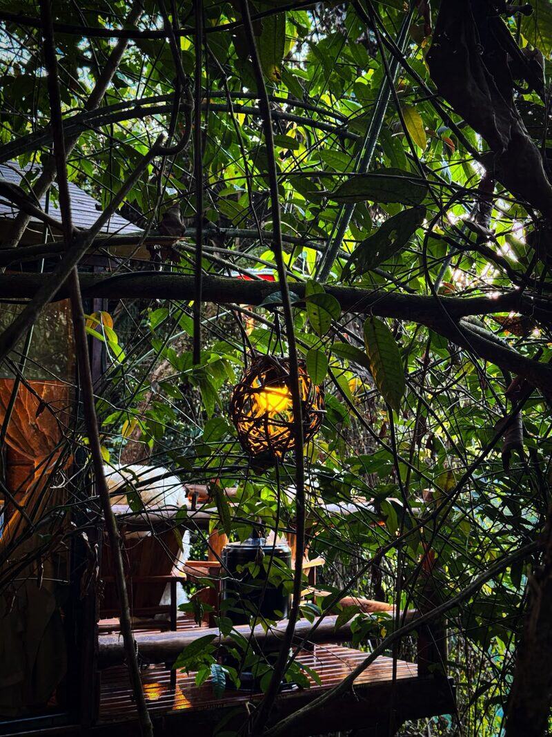 Cabana do Gnomo 8