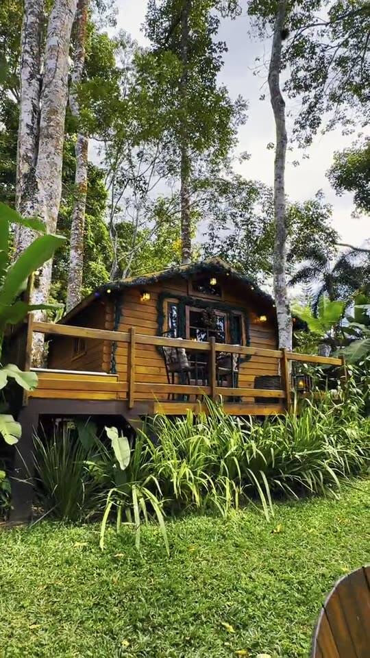 Vídeo da Cabana da Árvore com Jacuzzi